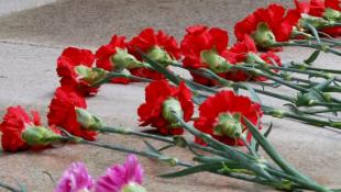 ИА "Тюменская линия"