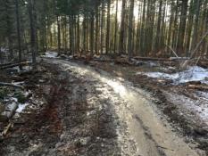 СУ СК РФ по Тюменской области