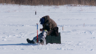 ИА "Тюменская линия"