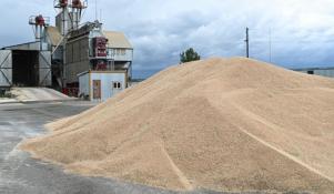 Сергей Елесин, ИА "Тюменская линия"