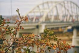 Инна Пахомова, ИА "Тюменская линия"
