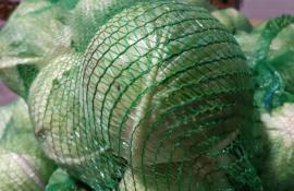 ИА "Тюменская линия" (архив)