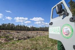 Сергей Елесин, ИА "Тюменская линия"