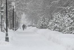 Сергей Елесин, ИА "Тюменская линия"
