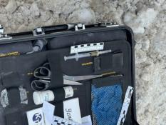 УМВД России по Тюменской области