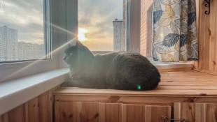 Юлия Божок, ИА "Тюменская линия"