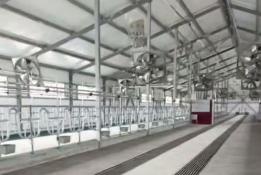 скриншот видео из Telegram-канала главы Ялуторовского муниципального округа Андрея Гильгенберга