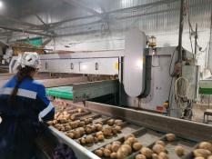 ИА "Тюменская линия"