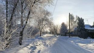 Инна Пахомова, ИА "Тюменская линия"