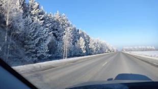 ИА "Тюменская линия"