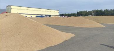 из Telegram-канала главы Абатского округа Игоря Васильева 