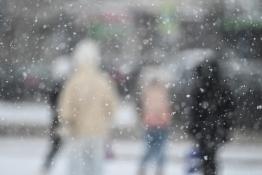 Сергей Елесин, ИА "Тюменская линия"
