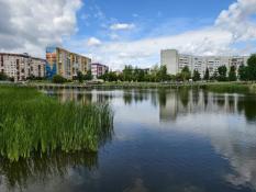 ИА "Тюменская линия"