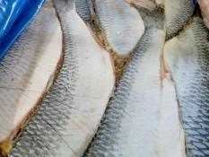 Оксана Корнеенкова, ИА "Тюменская линия"