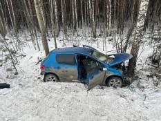  Госавтоинспекция Тюменской области