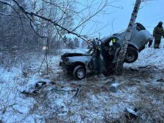 Госавтоинспекция Тюменской области