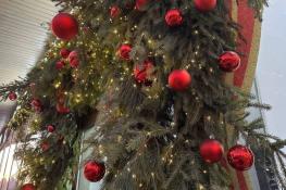 ИА "Тюменская линия"