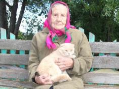 из Telegram-канала губренатора Тюменской области Александра Моора