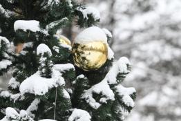 Сергей Елесин, ИА "Тюменская линия"
