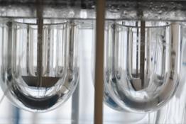 Сергей Елесин, ИА "Тюменская линия"