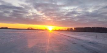 ИА "Тюменская линия"