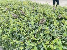 ИА "Тюменская линия"