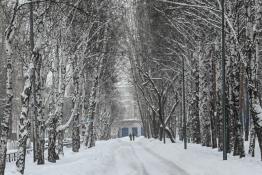 Сергей Елесин, ИА "Тюменская линия"