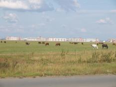 Виктор Сергеев, ИА "Тюменская линия"
