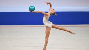 Федерация художественной гимнастики