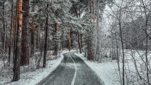 ИА "Тюменская линия"