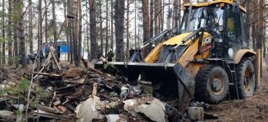 департамент лесного комплекса Тюменской области