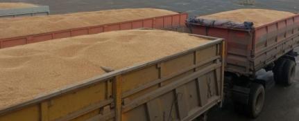 управление Россельхознадзора по Тюменской области, ЯНАО и ХМАО - Югре