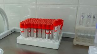 Инна Пахомова, ИА "Тюменская линия" (архив)