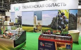 ТГ-канал Александра Моора