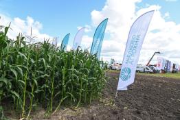 Сергей Елесин, ИА "Тюменская линия"
