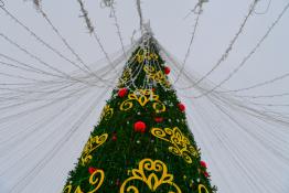 Сергей Елесин, ИА Тюменская линия