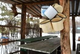 Сергей Елесин, ИА "Тюменская линия"