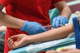 Сергей Елесин, ИА "Тюменская линия"