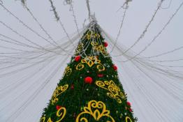 Сергей Елесин, ИА "Тюменская линия"