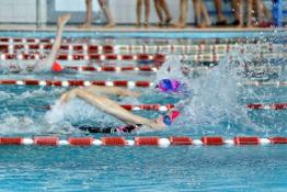 департаемнт по спорту и молодежной политике городской администрации