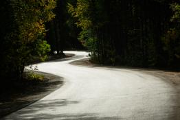 Алексей Андронов