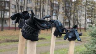 Инна Пахомова, ИА "Тюменская линия"