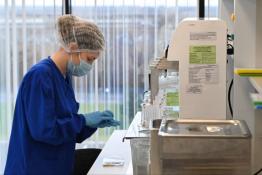 Сергей Елесин, ИА "Тюменская линия"