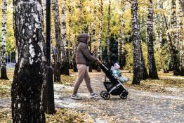 Сергей Елесин, ИА "Тюменская линия"