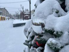 ИА "Тюменская линия"