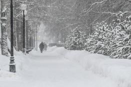 Сергей Елесин, ИА "Тюменская линия"