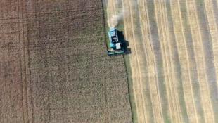 Виктор Сергеев, ИА "Тюменская линия"