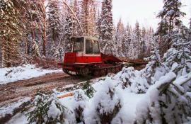 Тюменская линия