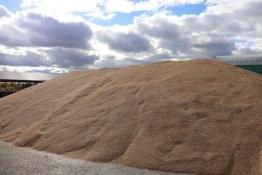 Telegram-канал Сергея Борисевича