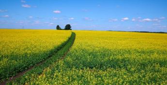 Тюменская линия